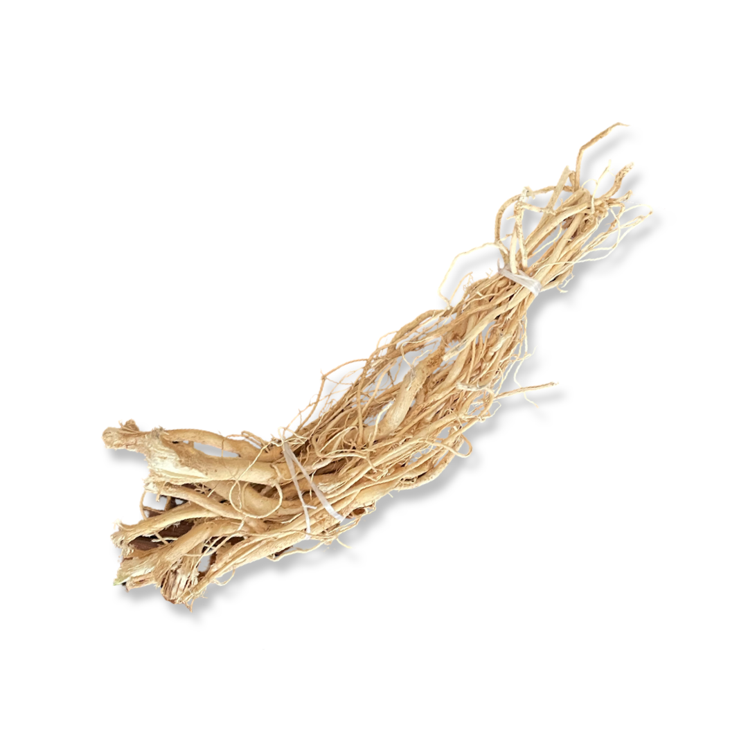 Ginseng Wurzel Bio